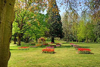 Tulpenpracht im Kurpark Bad Krozingen